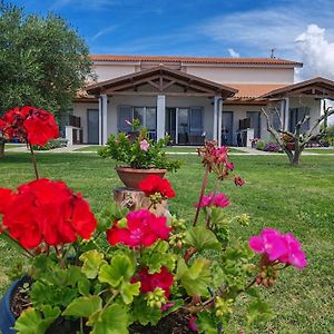 Residence La Pace - Pool & Relax